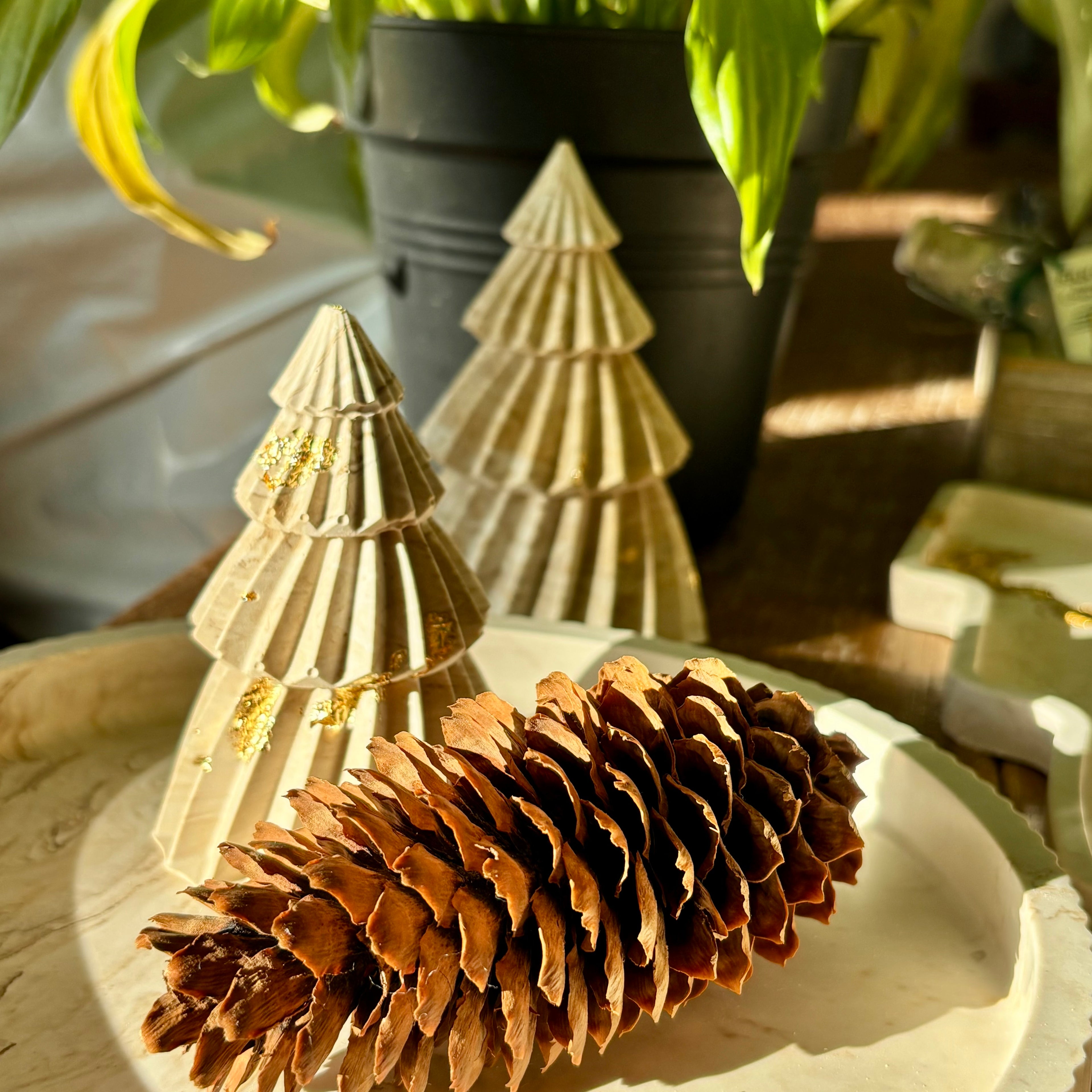 CHRISTMAS COLLECTION