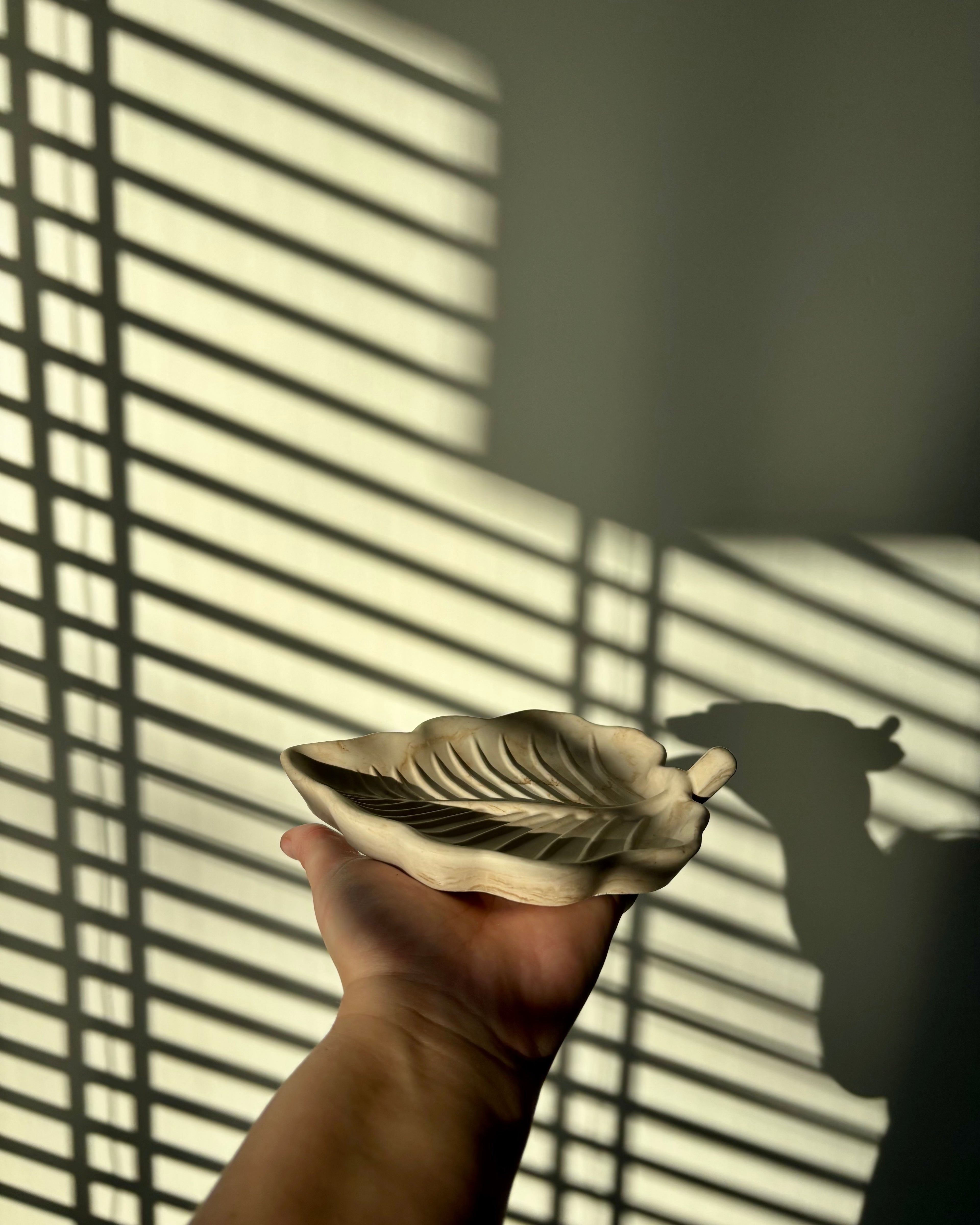 THE HOJA BLANCA | MARMER