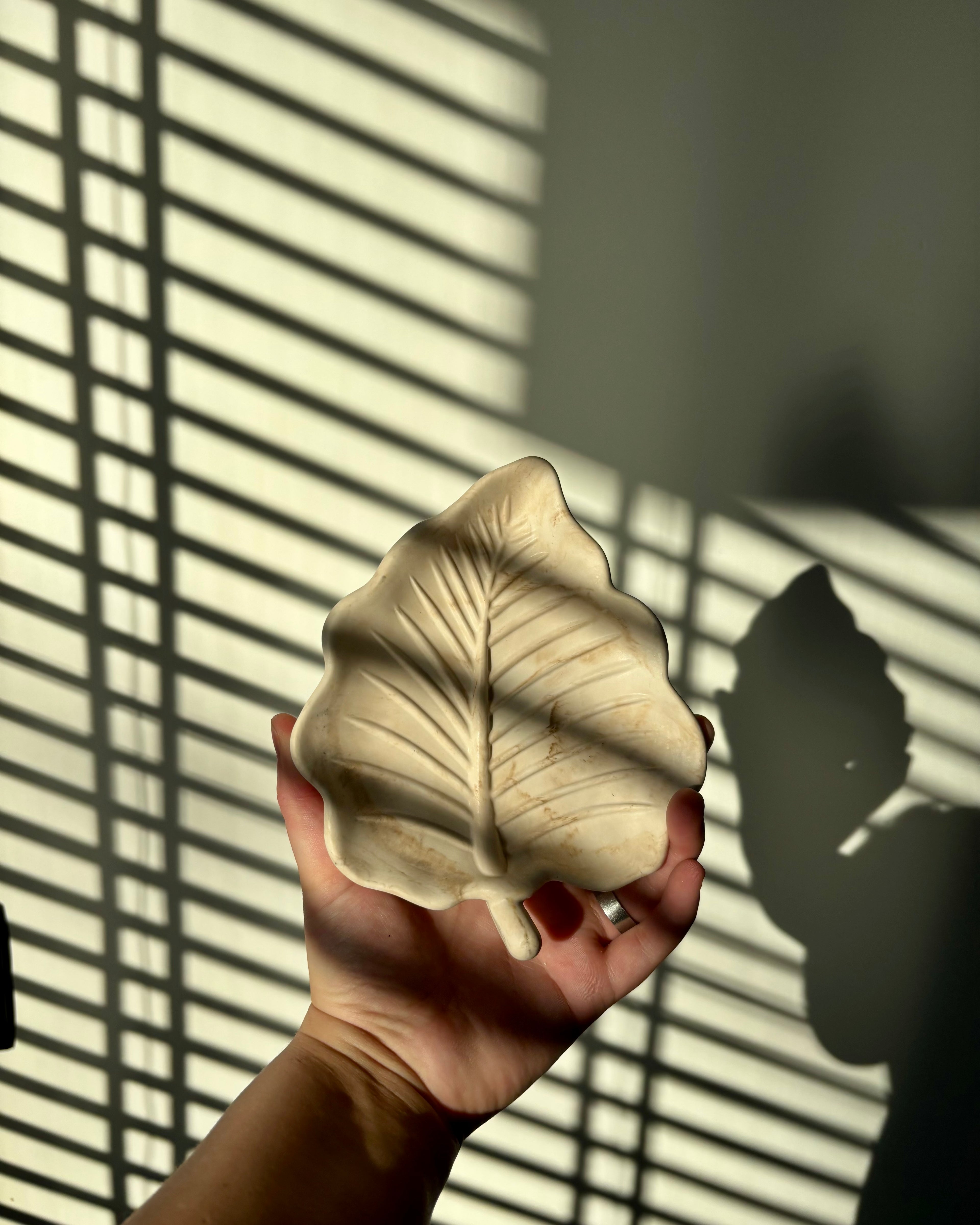 THE HOJA BLANCA | MARMER