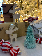 THE COZY SEASON | GIFT BOX
