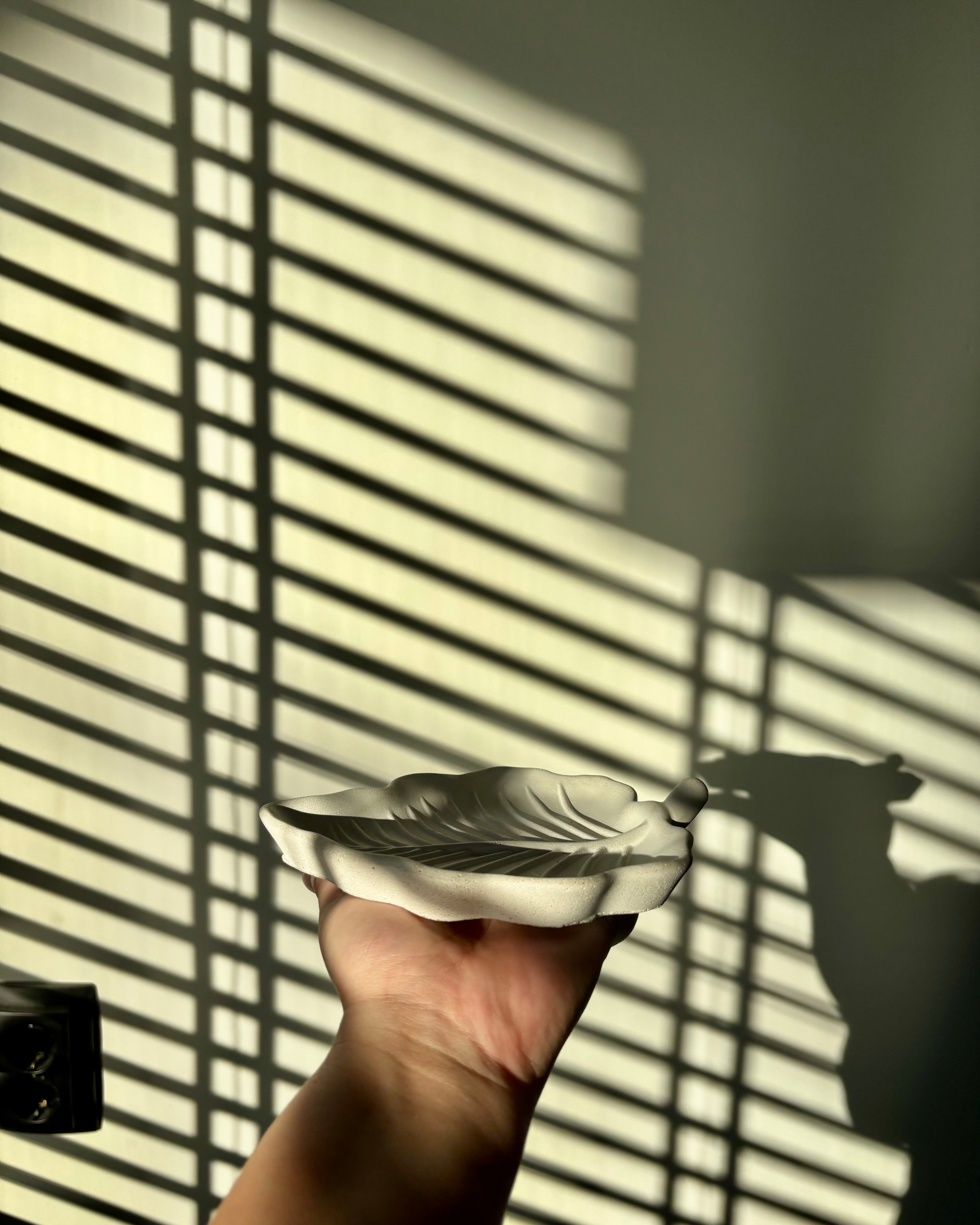 THE HOJA BLANCA | STONE